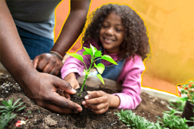 Primary D T And Engineering Cpd