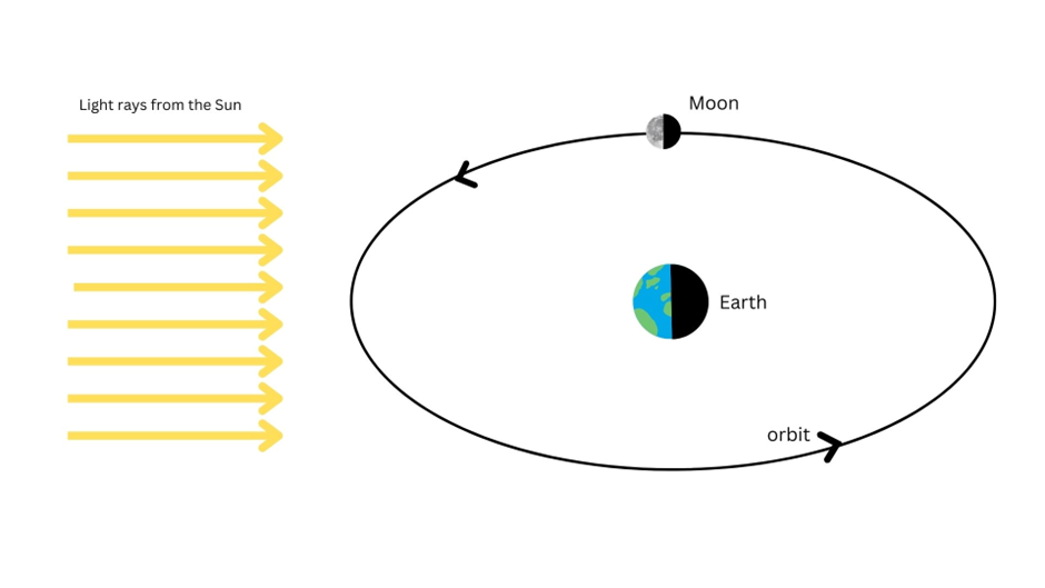 A diagram of the Moon orbiting the Earth, as light rays from the Sun point towards Earth.