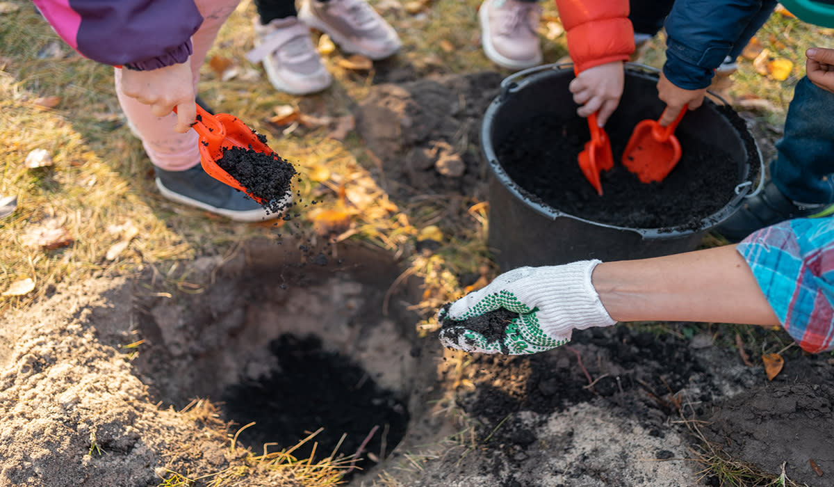 Unrecognisable children digging in the soil with the help if an adult. 