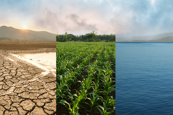 dry plain, green field and the sea