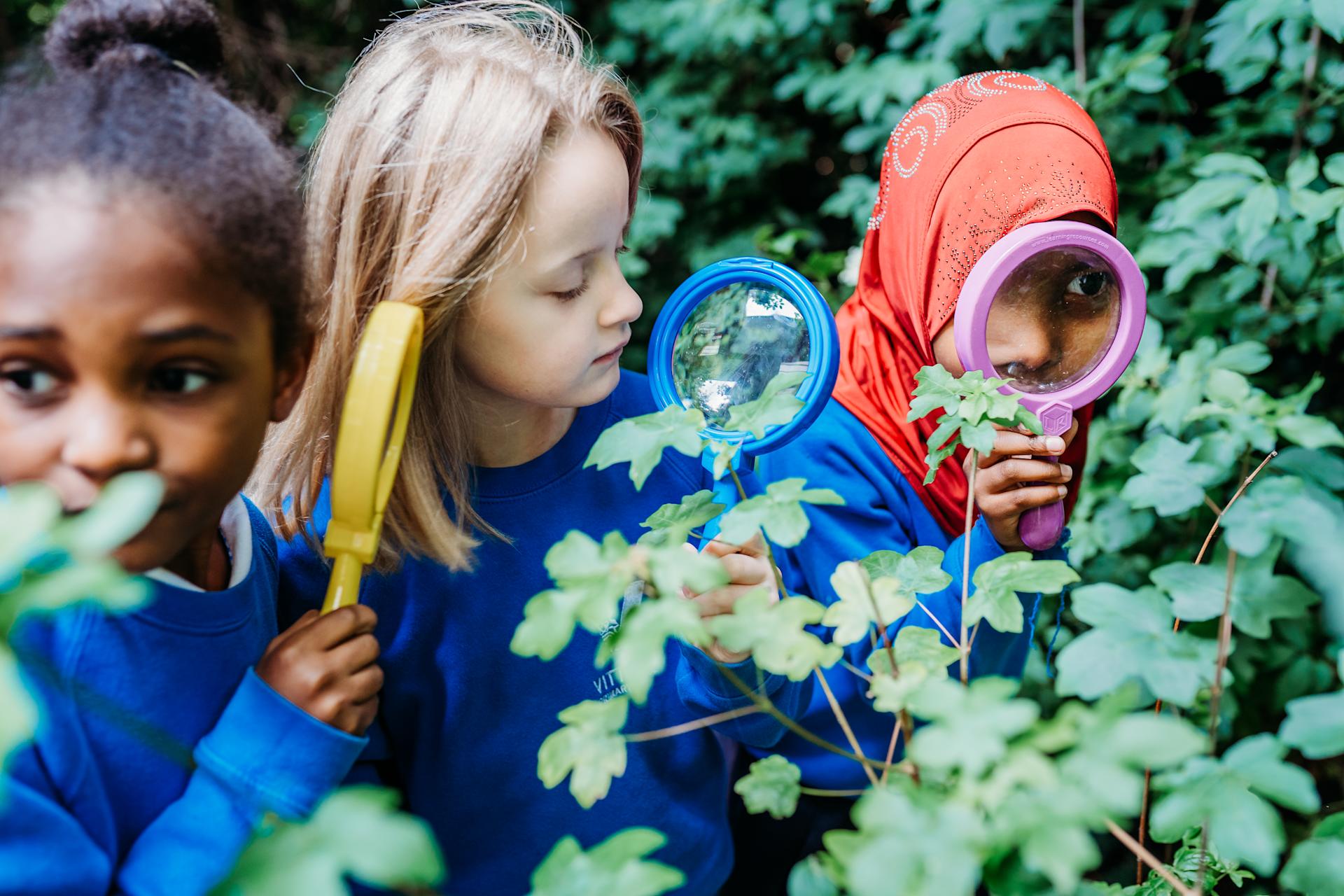 How Explorify can help you deliver climate and sustainability education