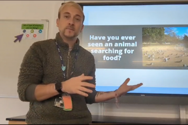 Video image