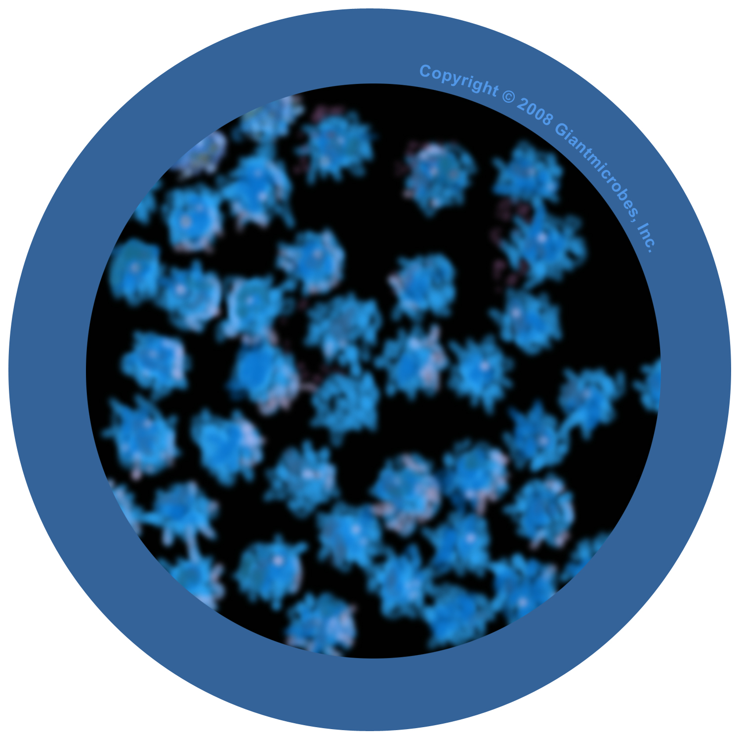 Common Cold Virus Microscope
