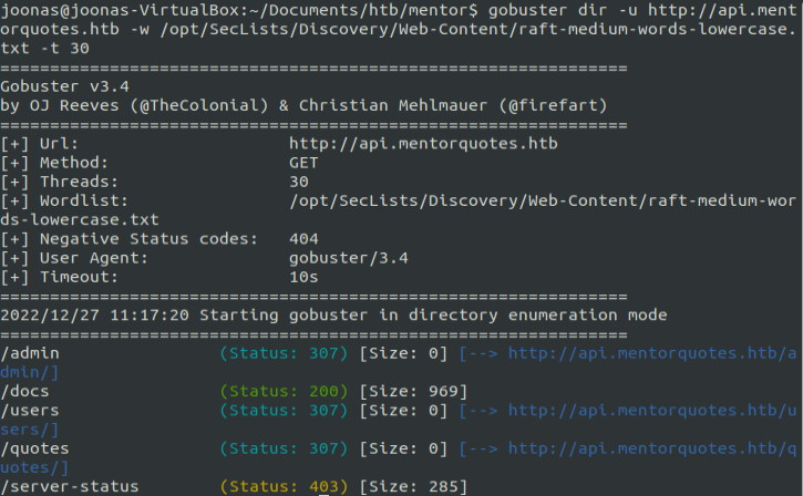 gobuster-api-scan