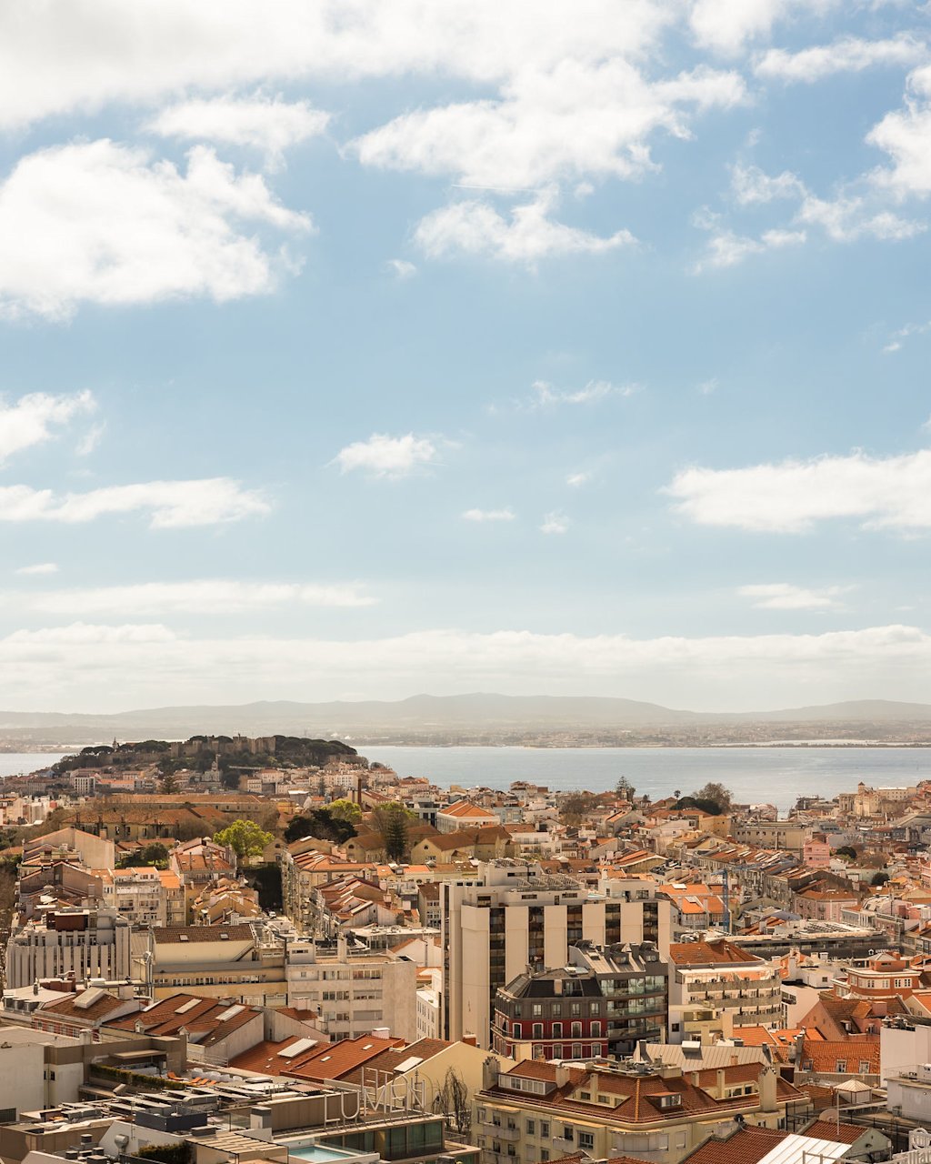 FantasticFrankImavizLTA0125