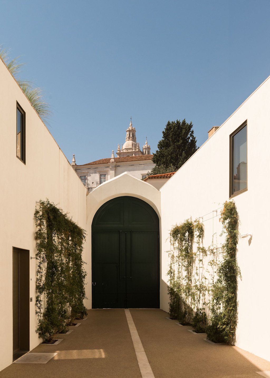 FantasticFrankSantaHelenaLTA0246 FantasticFrankSantaHelenaLTA0246