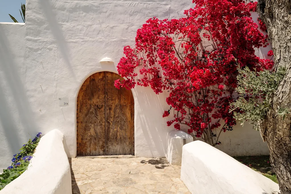 FreddieVilla HIGHRES-73 qqbijc