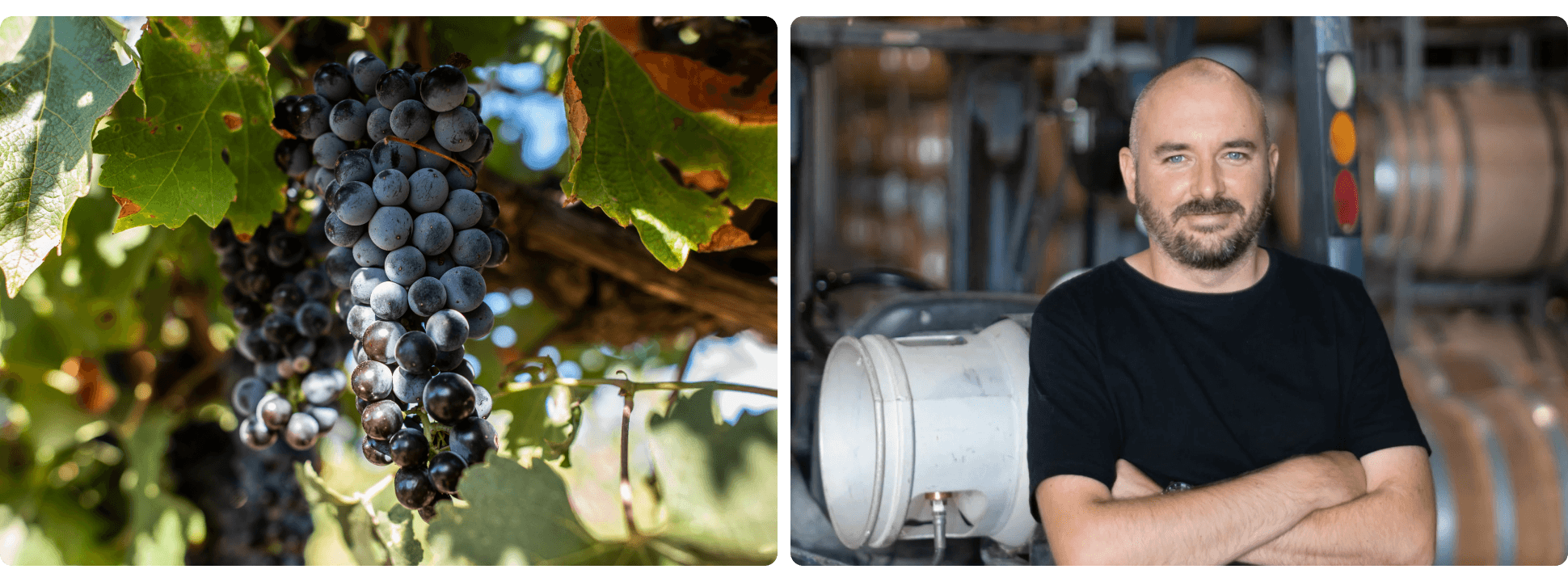 VP RedHeads Hero Images 2