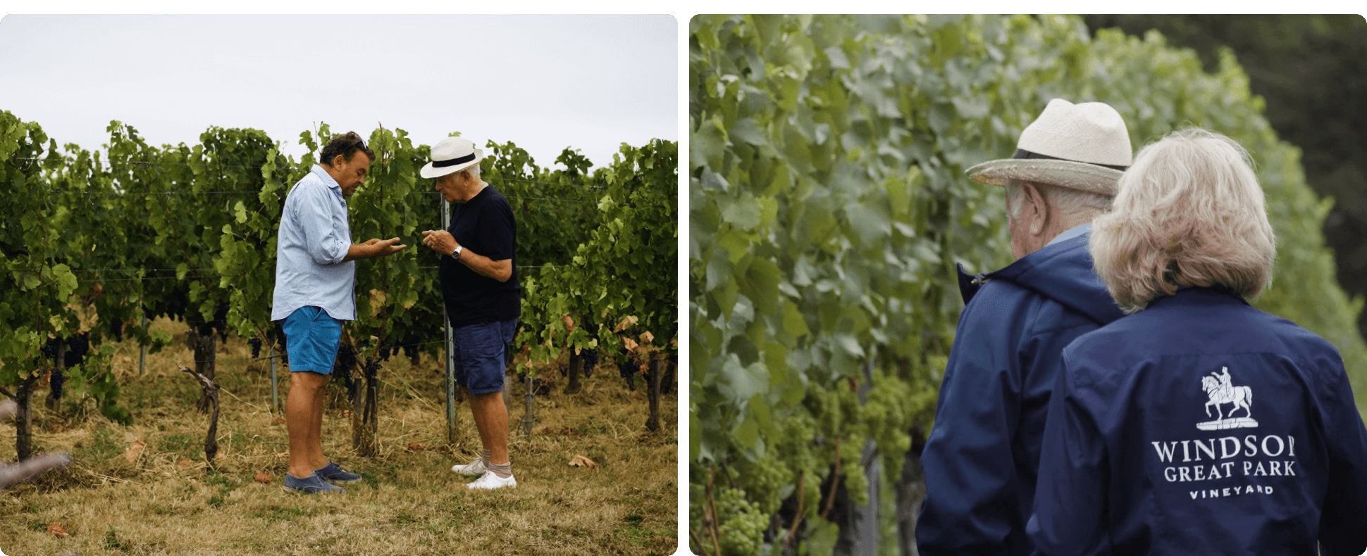 SOMM TV Hero Images 3