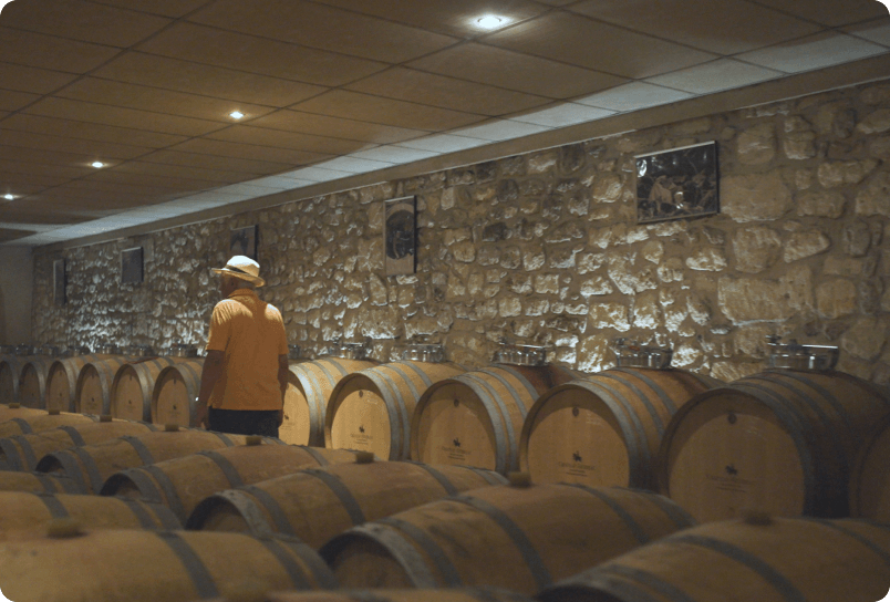 SOMM TV History Pod 2 Image