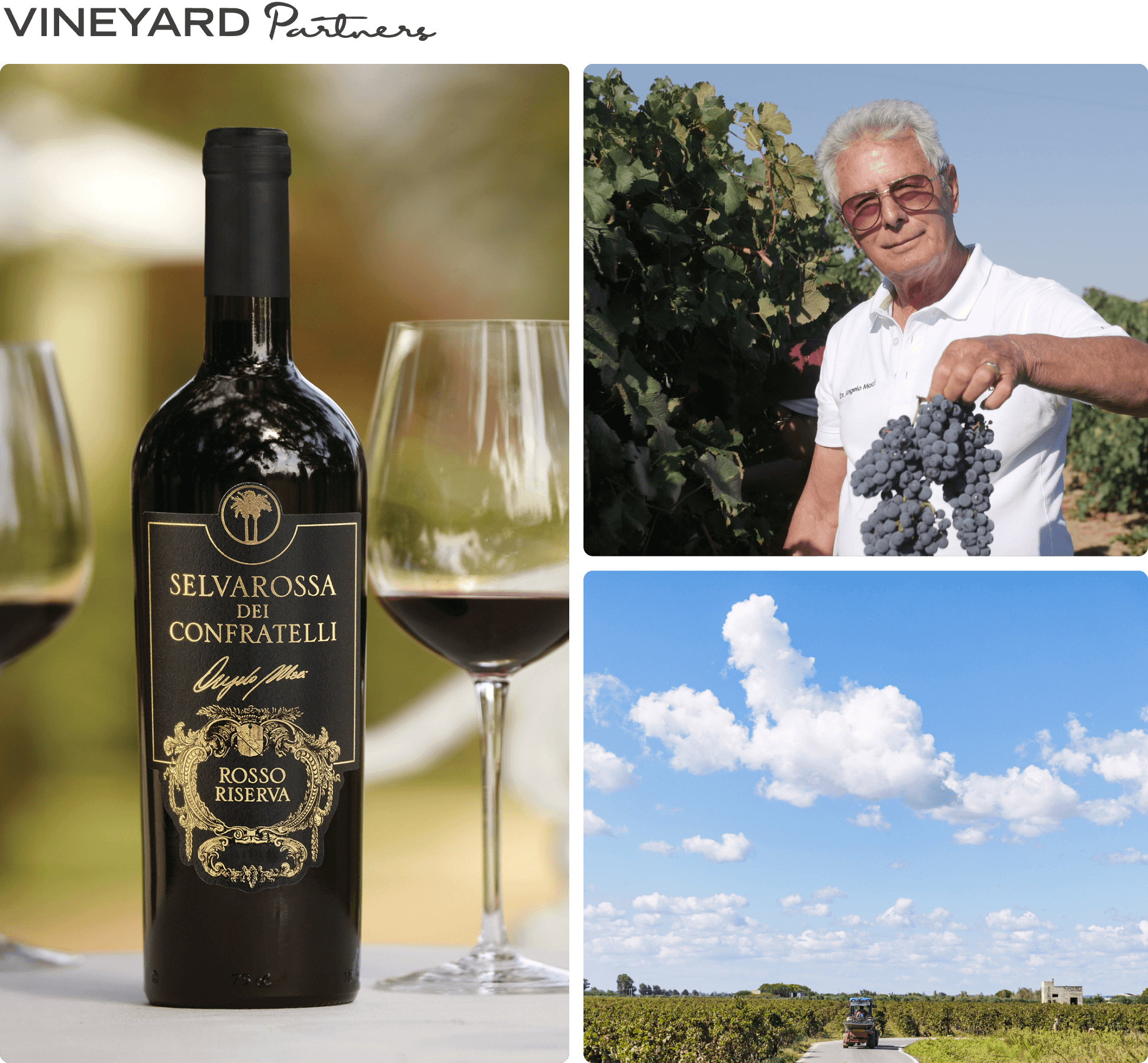 Selvarossa Dei Confratelli