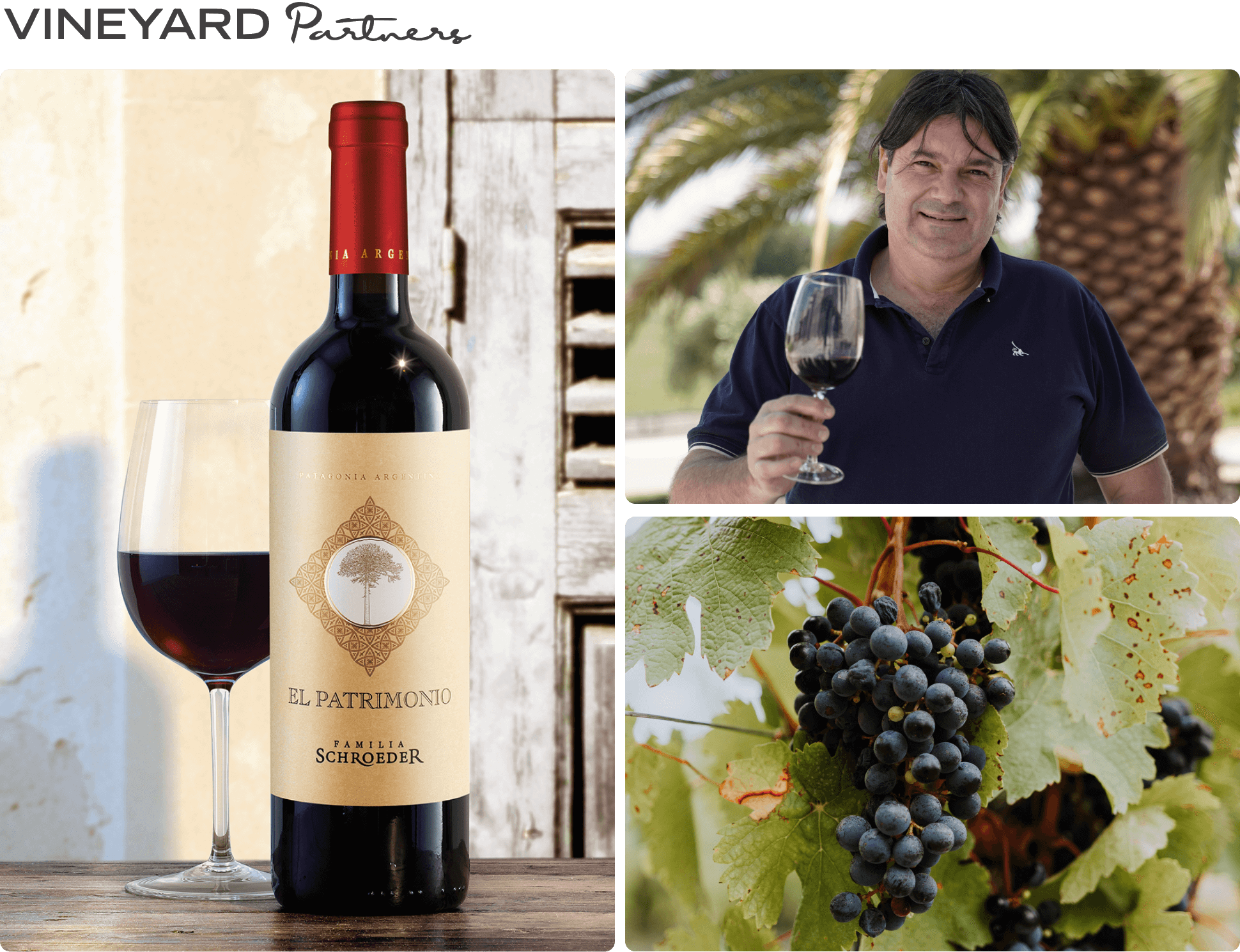 VP El Patrimonio Hero Images 1