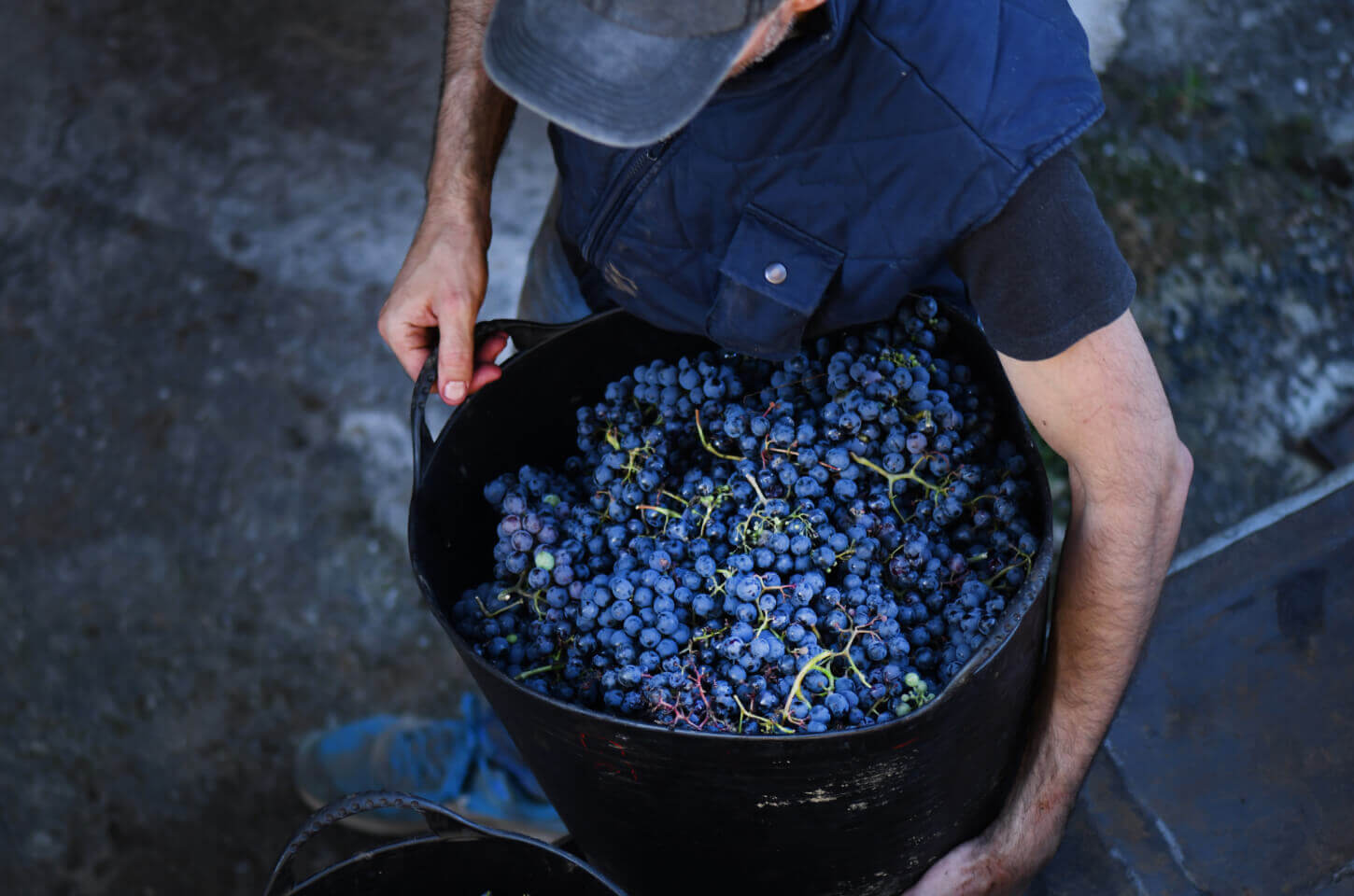 Harvest celebration