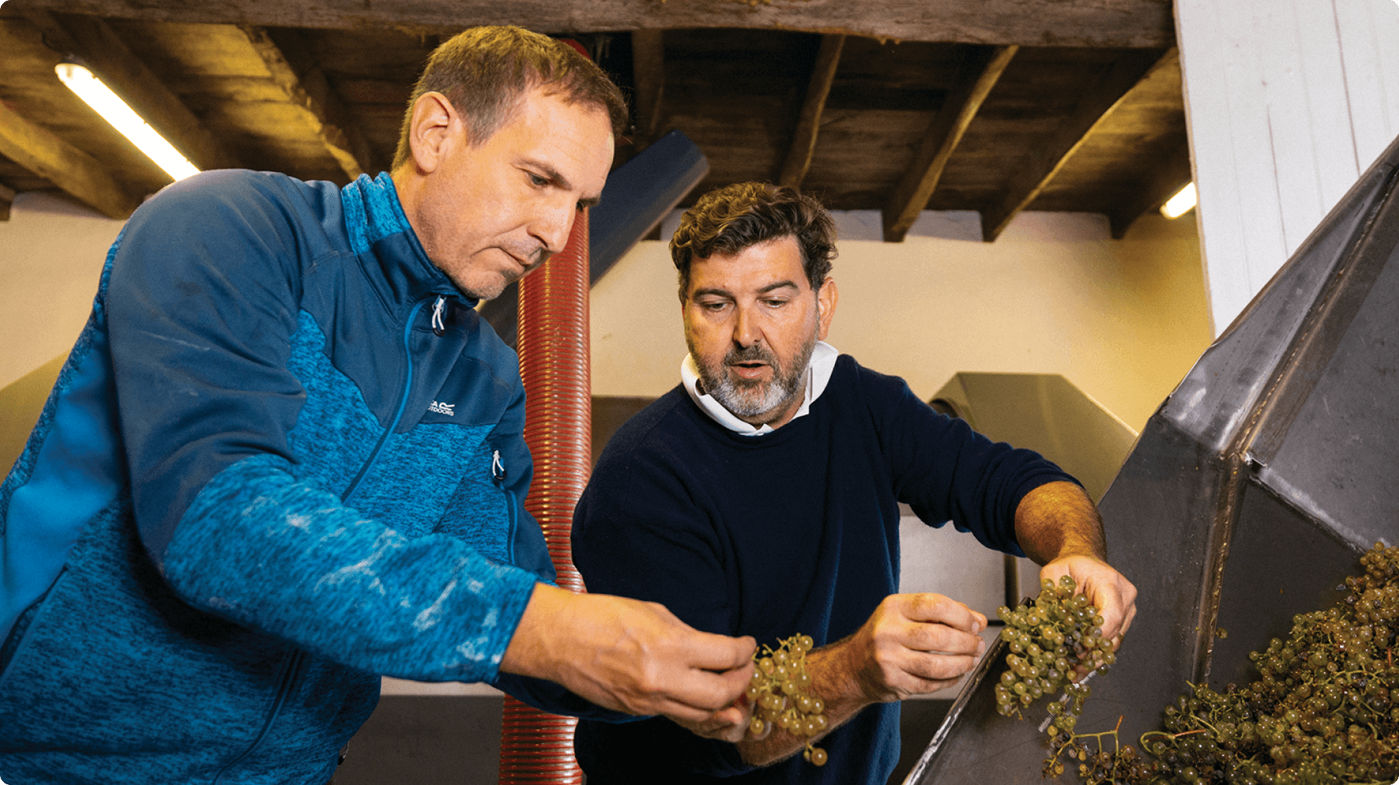 VP Clos de la Vierge Gem Column Group