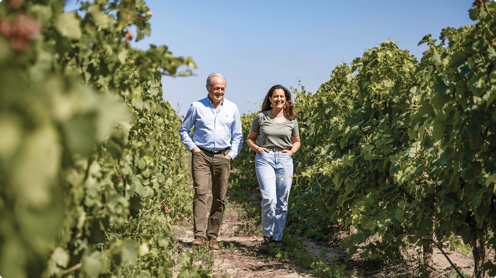 VP Centenario Vineyard Column 2 Image