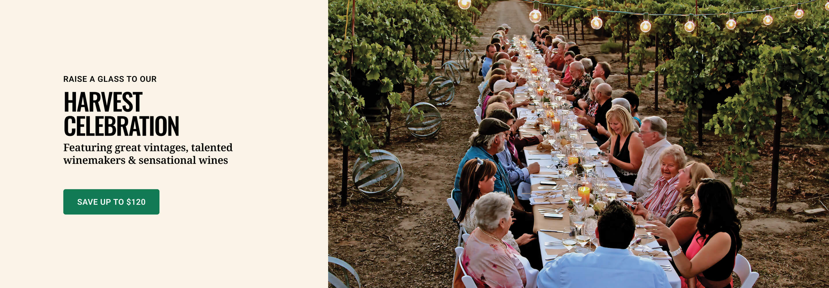 Wine sale fall
