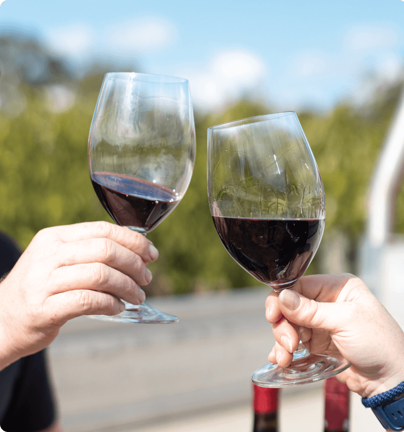 VP RedHeads Products Image