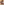 1 big image