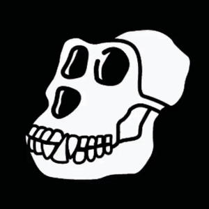 BAYC collection released