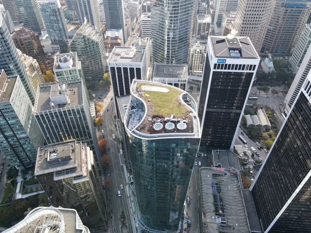 Downtown landscape with skyscrape with sustainable, green space roofing.