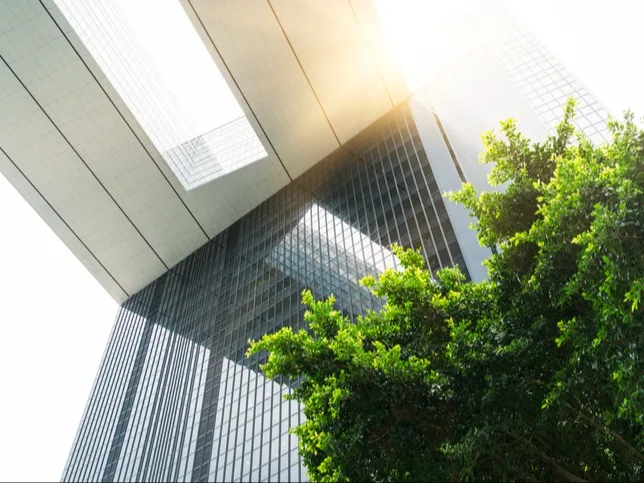 Building with trees