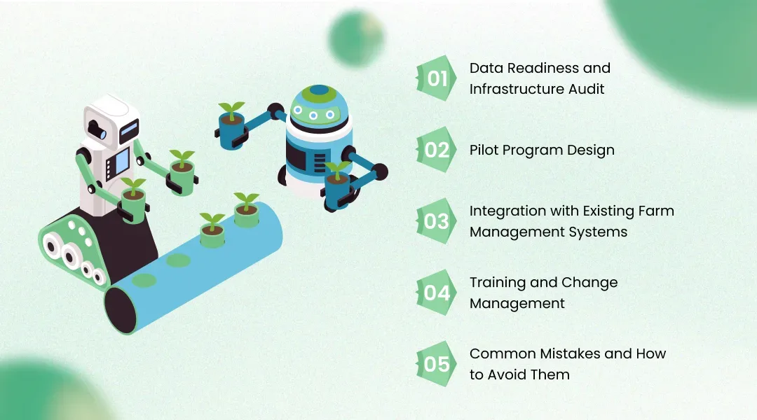 Implementing AI in Agriculture: A Practical Roadmap