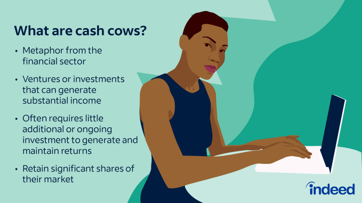 cash cow payment plan