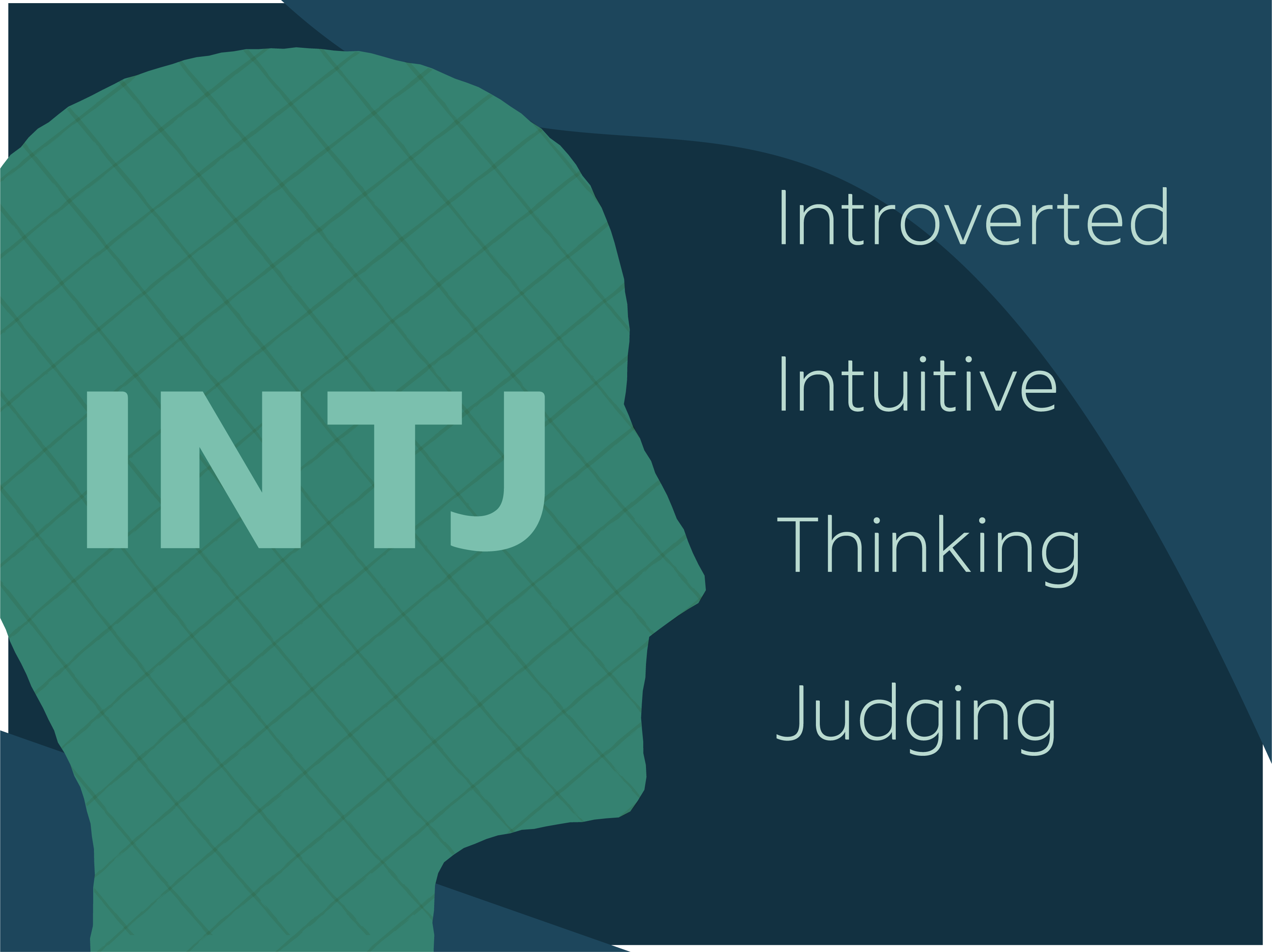Best Careers For Intj Personalities Indeed Com
