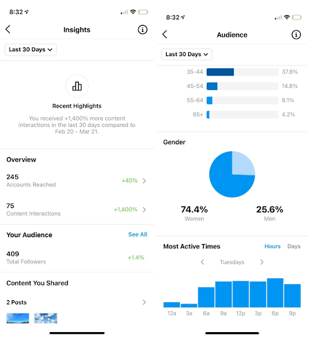 Instagram insights example