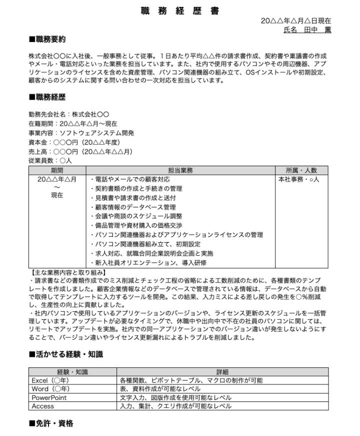 インターネット関連及びその他事業 職務経歴書