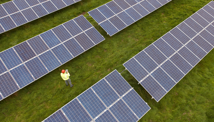 A bird's-eye view of a person wearing an orange hard hat while standing in a field of solar panels.