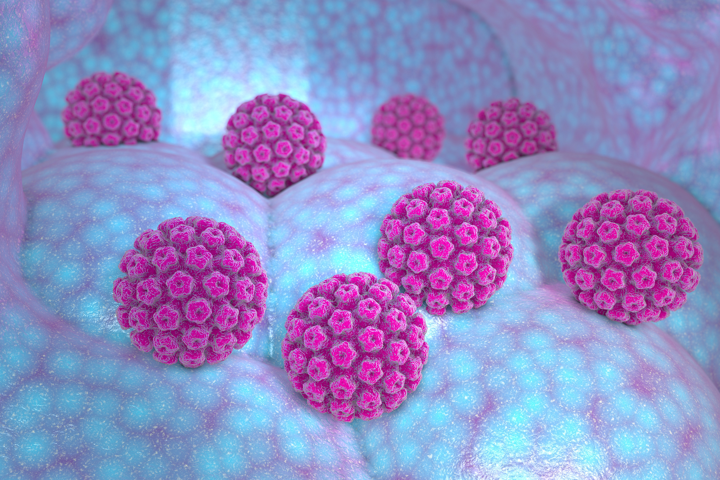 4 Important Things Everyone Should Know About HPV (Human Papillomavirus)