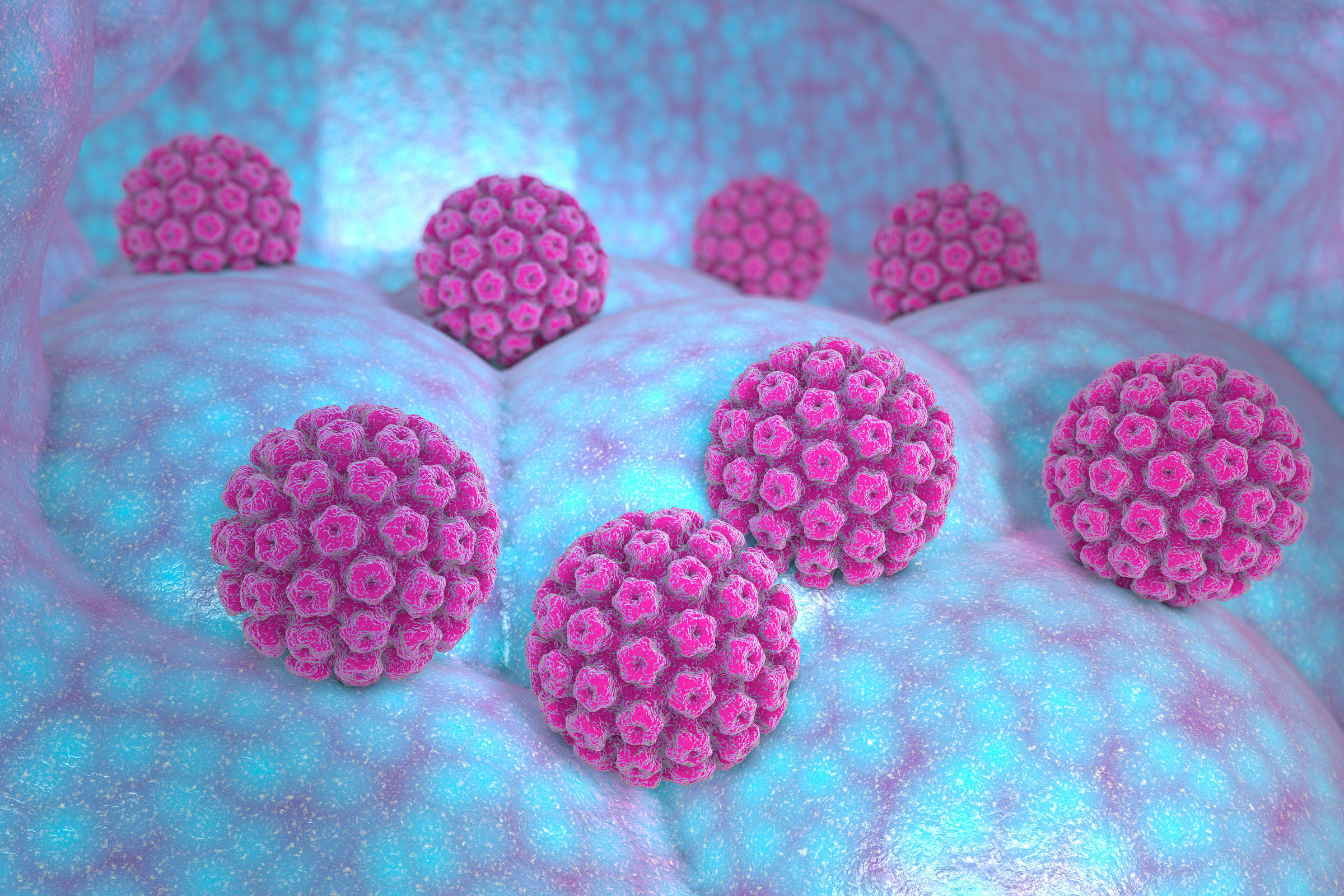 4 Important Things Everyone Should Know About HPV (Human Papillomavirus) - Vimarsana News