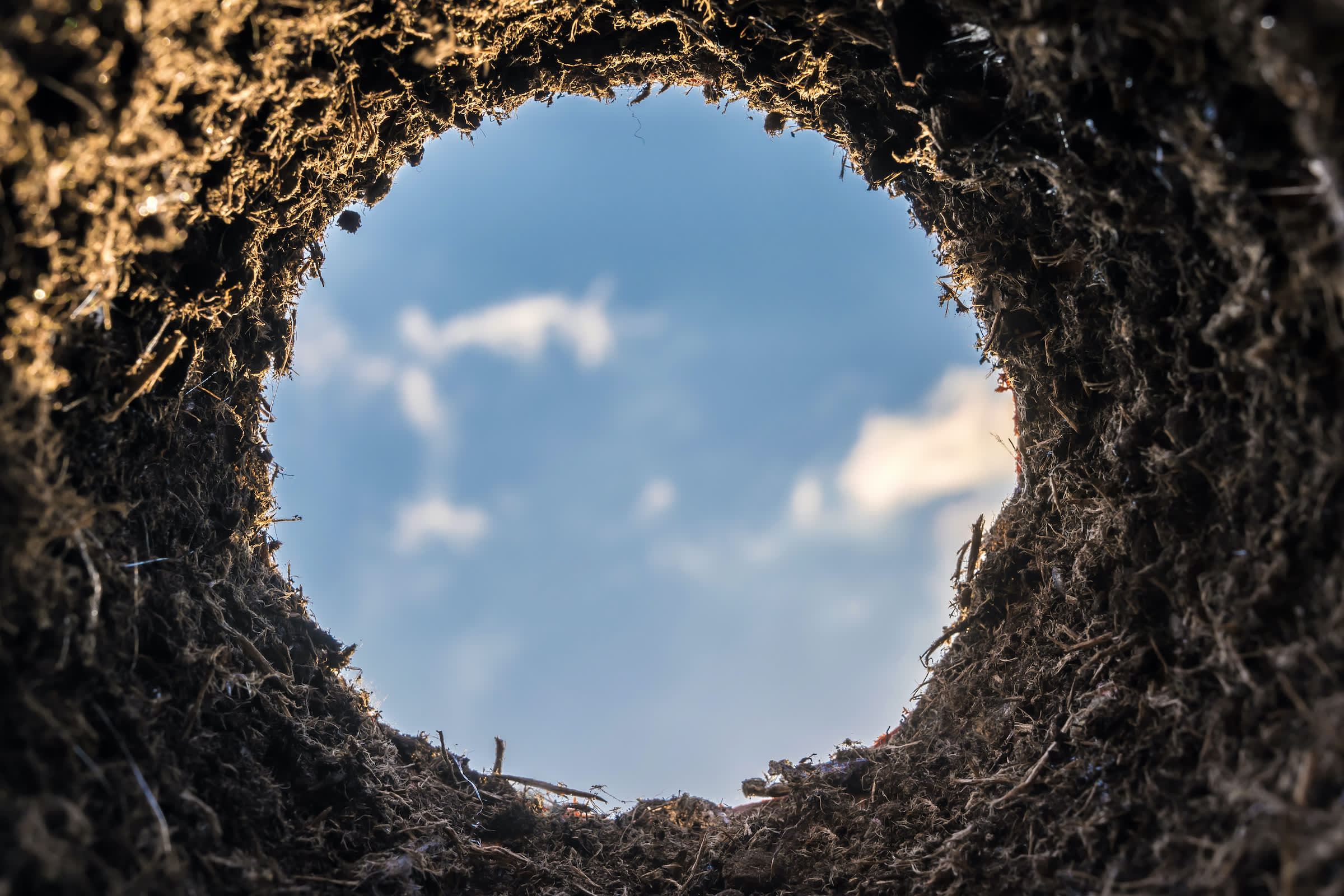 The Myth of the Loose Butthole - Vimarsana News