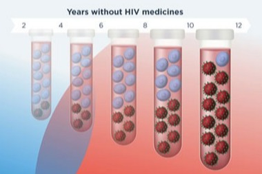 HIV/AIDS Basics TheBody