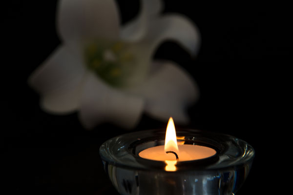 7,358 Mourning Candle Flower Images, Stock Photos, 3D, 57% OFF