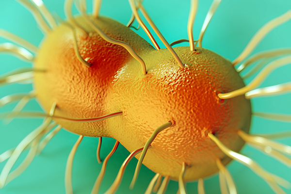 Chlamydia And Gonorrhea Responsible For 10 Of New Hiv Infections