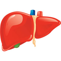 High Liver Enzymes Signal Serious Disease in HIVPositive Individuals