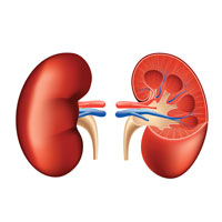 Kidney and Bone Markers Improve in Patients With Renal Impairment After ...