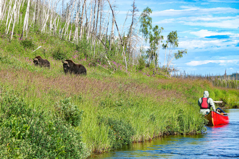 The Goba Expedition - Kokatat