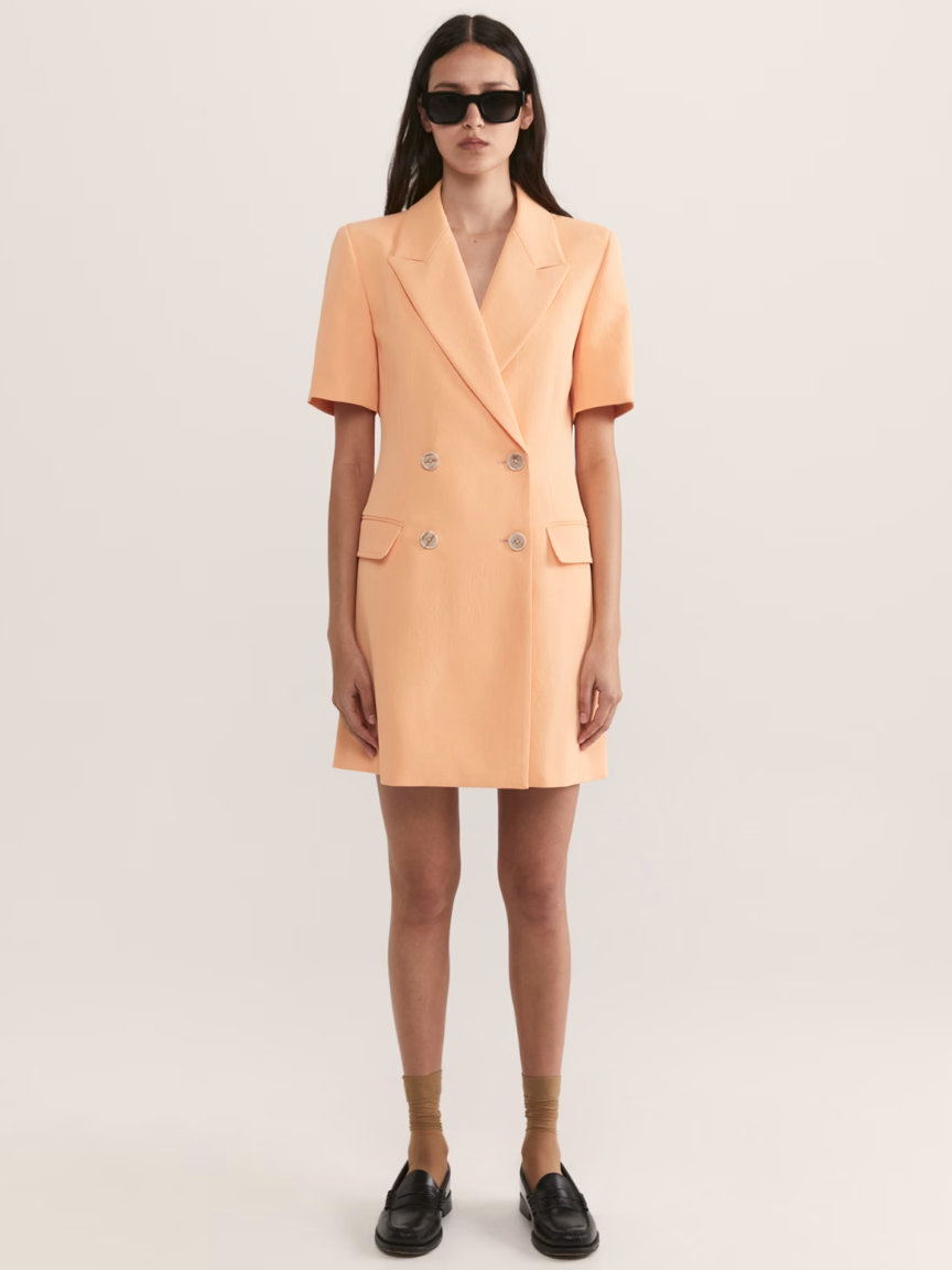 Dharma Blazer Dress