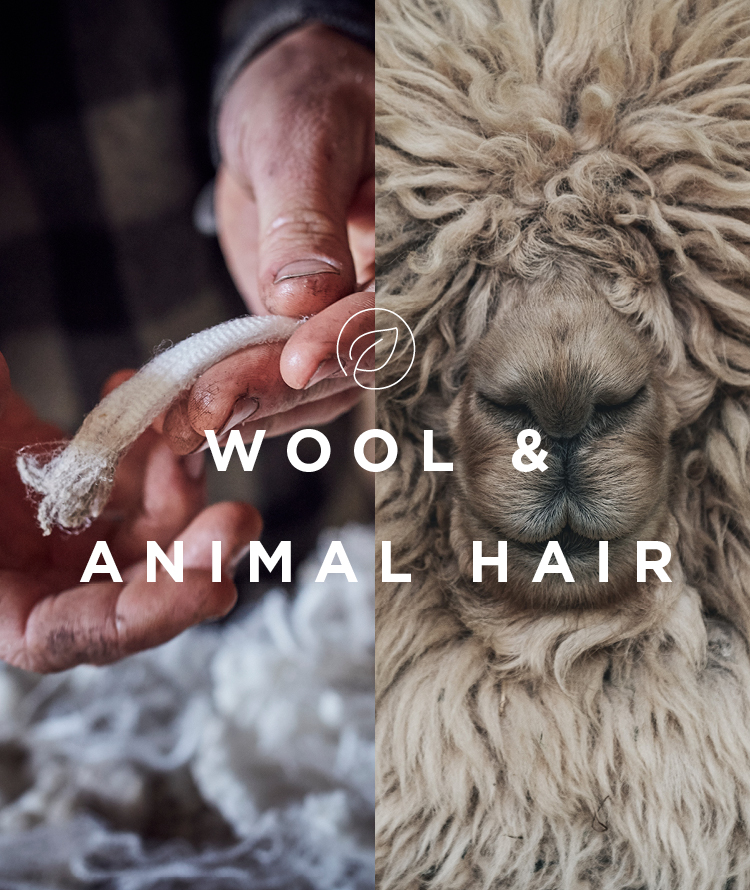 Sportscraft's new traceable wool collection