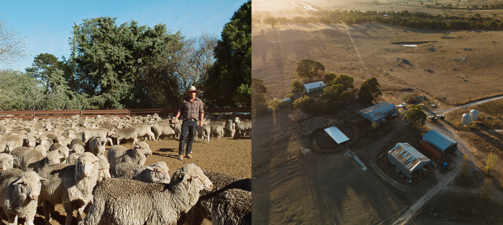 Farmer and sheep Image