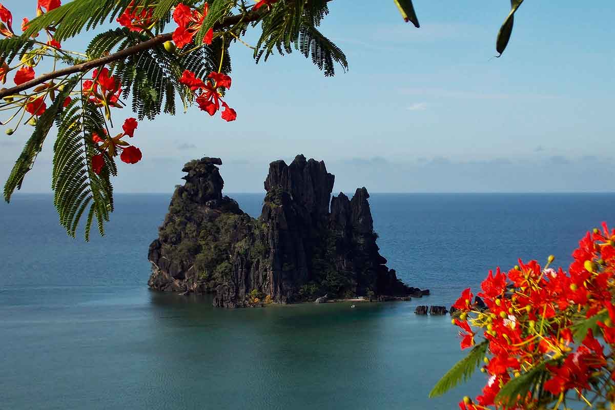 poule-couveuse-hienghene-nouvelle-caledonie