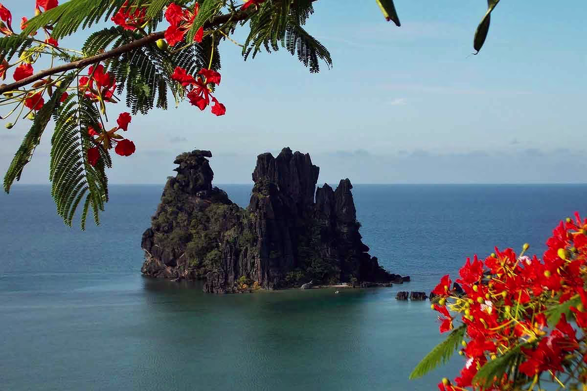 poule-couveuse-hienghene-nouvelle-caledonie