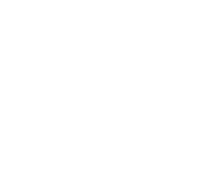 The McGregor Company
