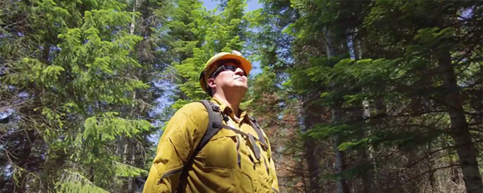 Career - Conservation Technician