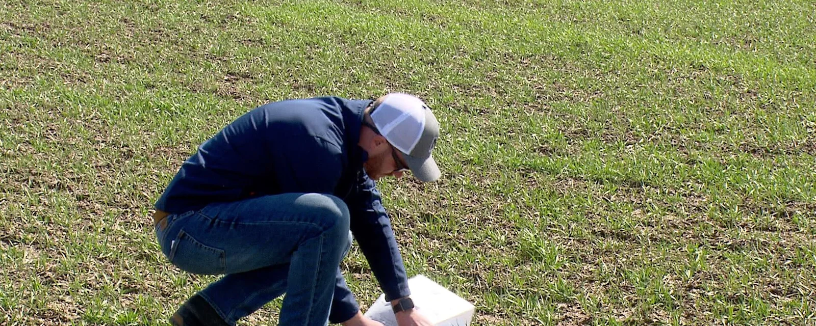 Career - Crop Advisor