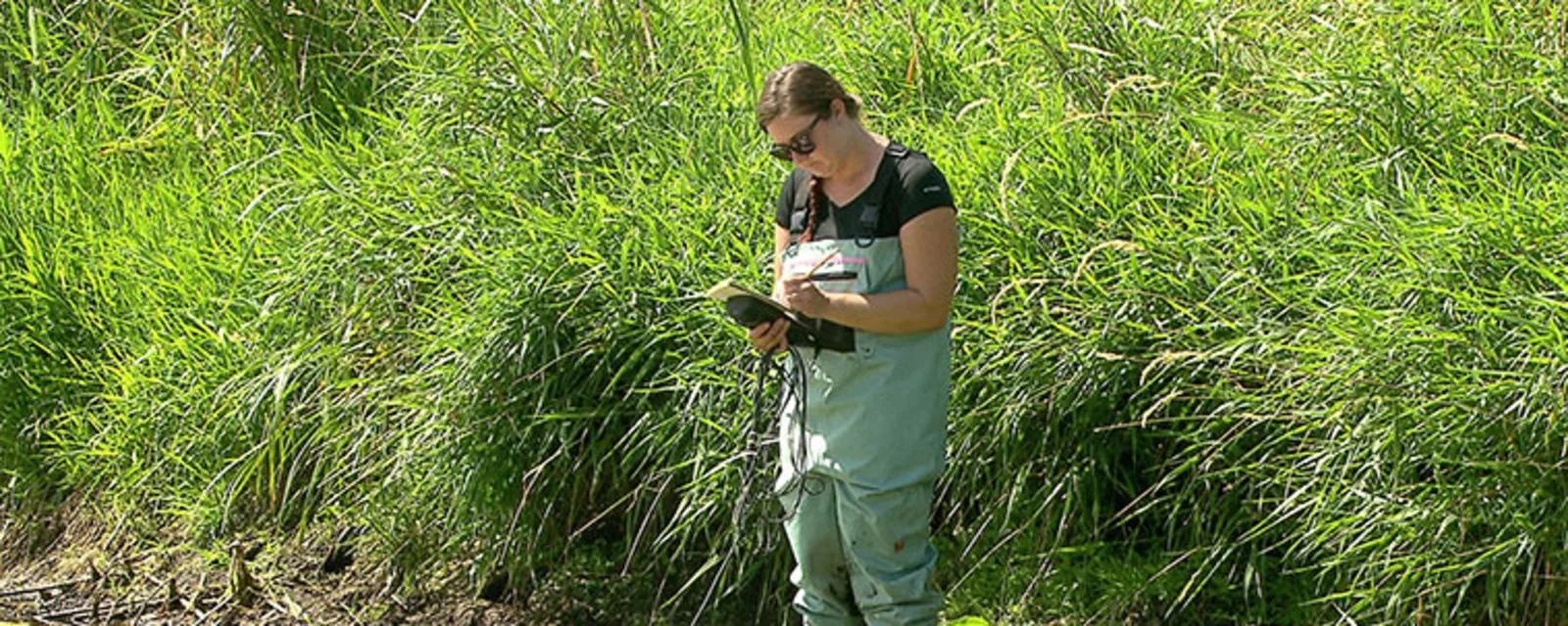 Career - Water Resources Scientist