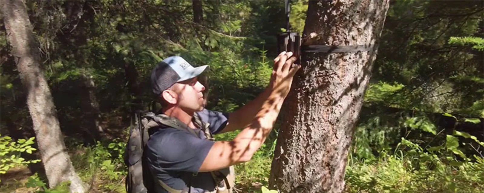 Career - Wildlife Biologist